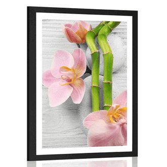 POSTER WITH MOUNT GENTLE ZEN COMPOSITION - FENG SHUI - POSTERS