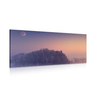 OBRAZ ÚPLNĚK MĚSÍCE NAD VESNICÍ - OBRAZY PŘÍRODY A KRAJINY - OBRAZY