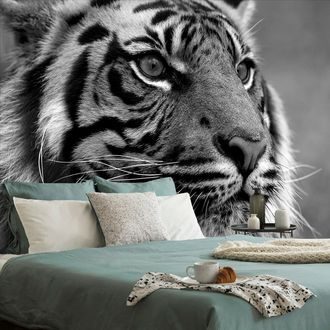 SELBSTKLEBENDE FOTOTAPETE BENGALISCHER TIGER IN SCHWARZ-WEISS - SELBSTKLEBENDE TAPETEN - TAPETEN