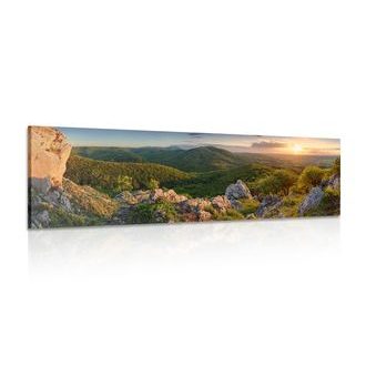 OBRAZ PŘÍRODA ZALITÁ SLUNCEM - OBRAZY PŘÍRODY A KRAJINY - OBRAZY