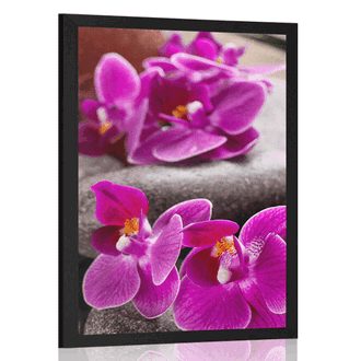 PLAKAT PIĘKNA ORCHIDEA I KAMIENIE ZEN - FENG SHUI - PLAKATY