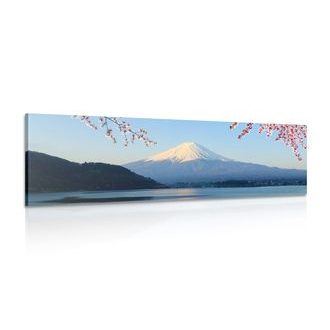 Picture view of Mount Fuji