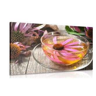 CANVAS PRINT CUP OF HERBAL TEA - PICTURES OF FOOD AND DRINKS - PICTURES