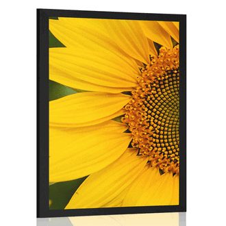 POSTER YELLOW SUNFLOWER - FLOWERS - POSTERS