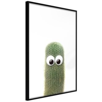 Plakát zábavný kaktus - Funny Cactus