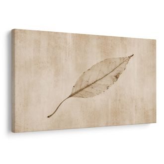 TABLEAU SUR TOILE – FEUILLE DÉLICATE AUX TONS BEIGES - TABLEAUX ARBRES ET FEUILLES - TABLEAUX