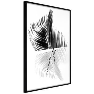 Plakát abstraktní pírko - Abstract Feather