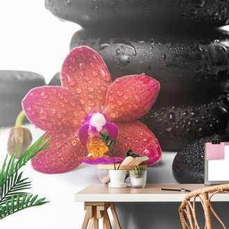 TAPETE ORCHIDEE UND ZEN-STEINE AUF WEISSEM HINTERGRUND - TAPETEN MIT FENG SHUI-MOTIVEN - TAPETEN