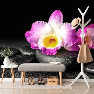 WALL MURAL ORCHID ON ZEN STONES - WALLPAPERS FENG SHUI - WALLPAPERS