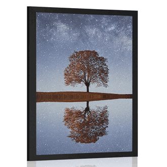Poster Sternenhimmel über einem alleinstehenden Baum