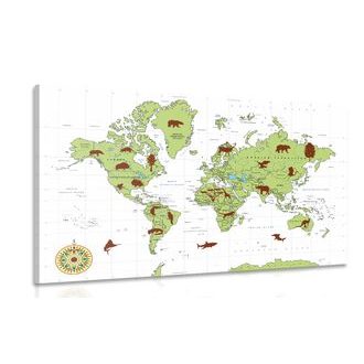 OBRAZ MAPA SE ZVÍŘATY - OBRAZY MAPY - OBRAZY
