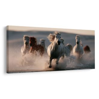 OBRAZ STÁDO KONÍ V BĚHU - PICTURES HORSES - PICTURES