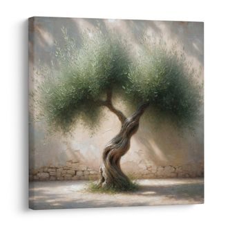 OBRAZ STARÝ OLIVOVNÍK VE STŘEDOMOŘÍ - OBRAZY STROMY A LISTY - OBRAZY