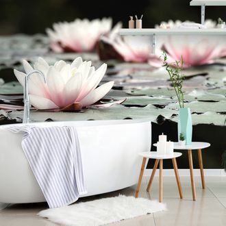 WALL MURAL LOTUS FLOWER - WALLPAPERS FLOWERS - WALLPAPERS