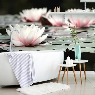 FOTOTAPET FLOARE DE LOTUS - TAPET FLORI - TAPETURI