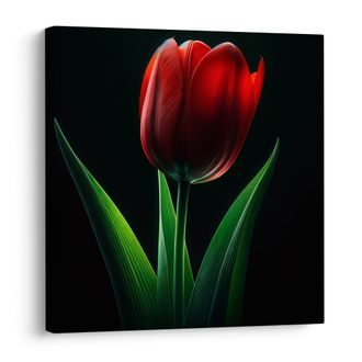 OBRAZ KVĚT TULIPÁNU V NOCI - OBRAZY TULIPÁN - OBRAZY