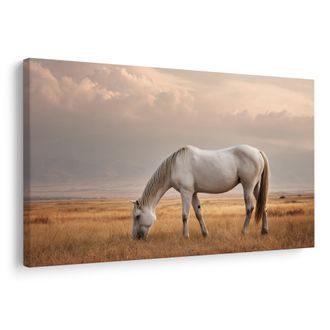 CANVAS SCHILDERIJ RUSTIG PAARD IN DE WEI - SCHILDERIJEN PAARDEN - SCHILDERIJEN