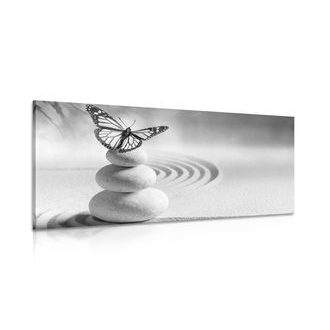 Picture balance of stones and butterfly in black & white design