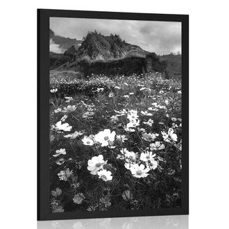 POSTER MEADOW OF BLOOMING FLOWERS IN BLACK AND WHITE - BLACK AND WHITE - POSTERS