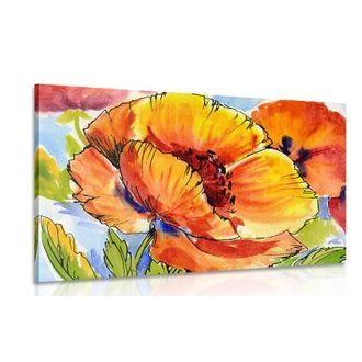 Picture bouquet of poppy flowers