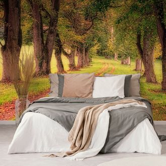 PAPIER PEINT PANORAMIQUE AUTOCOLLANT – CHEMIN DANS LA FORÊT D'AUTOMNE - PAPIER PEINT AUTOCOLLANT - PAPIERS PEINTS PANORAMIQUES