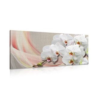Picture of a white orchid on a canvas