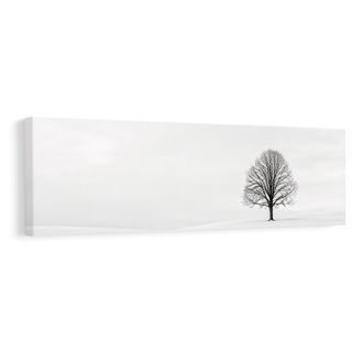 OBRAZ TICHÝ STROM ŽIVOTA NA PLÁNI - TREE OF LIFE - PICTURES