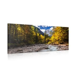 ΕΙΚΌΝΑ ΟΡΧΙΔΈΑΣ ΣΕ ΕΛΛΗΝΙΚΈΣ ΣΤΉΛΕΣ - ΠΊΝΑΚΕΣ ΦΎΣΗΣ ΚΑΙ ΤΟΠΊΟΥ - ΠΊΝΑΚΕΣ