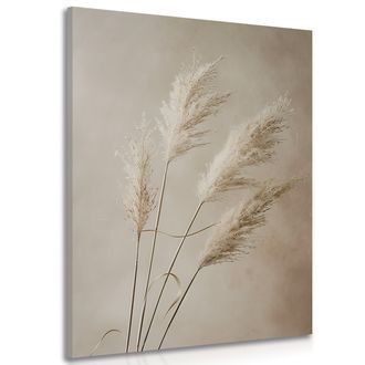 OBRAZ SUCHÁ PAMPOVÁ TRÁVA - OBRAZY - TOTÁLNÍ VÝPRODEJ 🔥