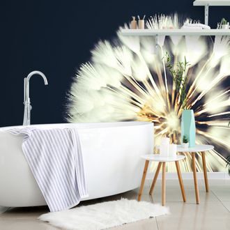 FOTOTAPETA PAMPELIŠKA NA TMAVÉM POZADÍ - TAPETY KVĚTINY - TAPETY