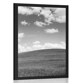 POSTER BEAUTIFUL DAY ON THE MEADOW IN BLACK AND WHITE - BLACK AND WHITE - POSTERS