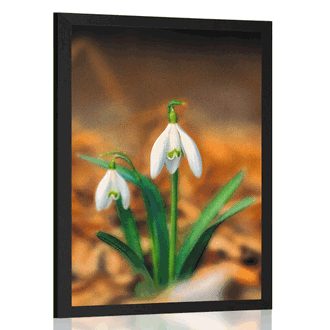 POSTER SPRING SNOWDROP - FLOWERS - POSTERS