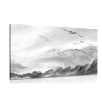 Picture of birds flying over the landscape in black & white
