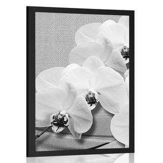 POSTER ORCHID ON A CANVAS IN BLACK AND WHITE - BLACK AND WHITE - POSTERS