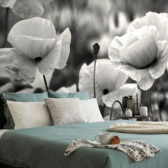 WALL MURAL BLACK AND WHITE FIELD OF WILD POPPIES - BLACK AND WHITE WALLPAPERS - WALLPAPERS