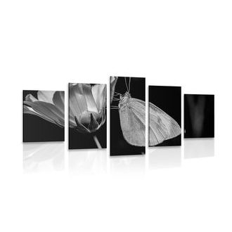5 részes kép lepke a virágon fekete fehérben