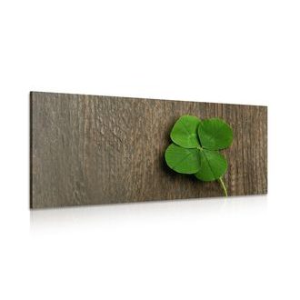 OBRAZ ŠŤASTNÝ ČTYŘLÍSTEK - OBRAZY ZÁTIŠÍ - OBRAZY