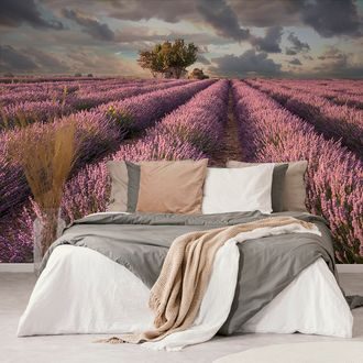 SELF ADHESIVE WALLPAPER LANDSCAPE OF LAVENDER FIELDS - SELF-ADHESIVE WALLPAPERS - WALLPAPERS