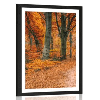 POSTER MIT PASSEPARTOUT WALD IN DER HERBSTZEIT - NATUR - POSTER