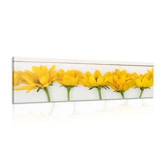 WANDBILD SCHÖNE GELBE BLUMEN - BILDER BLUMEN - BILDER