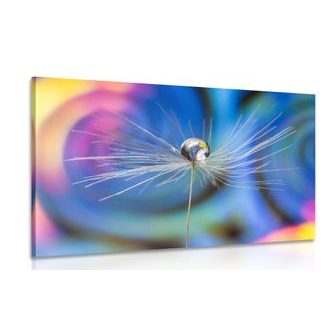 ΕΙΚΌΝΑ ΠΤΏΣΗ ΔΡΟΣΙΆΣ ΣΕ ΈΓΧΡΩΜΟ ΦΌΝΤΟ - ΠΊΝΑΚΕΣ ΑΠΌ ΛΟΥΛΟΎΔΙΑ - ΠΊΝΑΚΕΣ