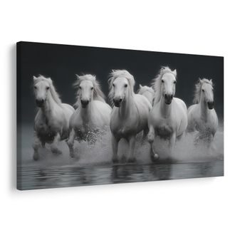 OBRAZ BÍLÍ KONĚ V POHYBU - OBRAZY KONĚ - OBRAZY