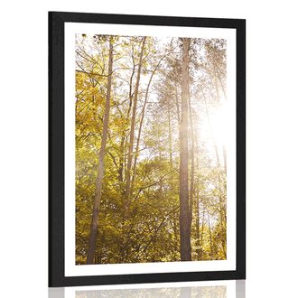 Plakat s paspartuom šuma u jesenjim bojama