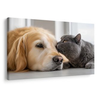 WANDBILD FREUNDSCHAFT ZWISCHEN HUND UND KATZE - BILDER TIERE - BILDER