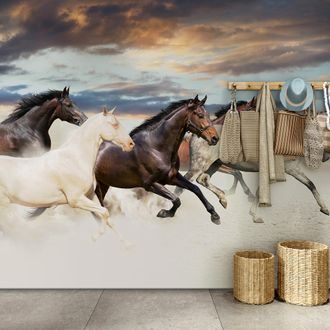 WALLPAPER HERD OF HORSES - WALLPAPERS ANIMALS - WALLPAPERS