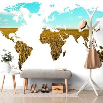 SELF ADHESIVE WALLPAPER WORLD MAP ON A WHITE BACKGROUND - SELF-ADHESIVE WALLPAPERS - WALLPAPERS