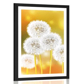 POSTER WITH MOUNT FLUFFY DANDELION - FLOWERS - POSTERS