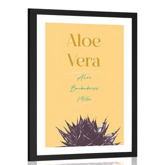 AFFICHE AVEC MONTURE ET INSCRIPTION ÉLÉGANTE ALOE VERA - DE NOTRE ATELIER - AFFICHES