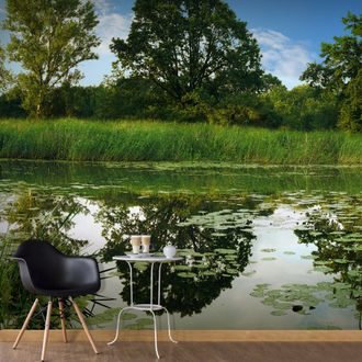 Photo wallpaper XXL with natural pond motif