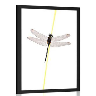 Poster magic of a dragonfly